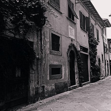 Dimora Coccapani Apartment Pisa Luaran gambar